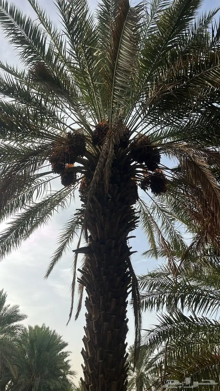 جعبة 3