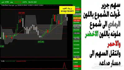 منصة المضاربة للتداول بالسوق السعودي index