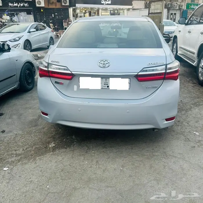 كورولا 2019 7