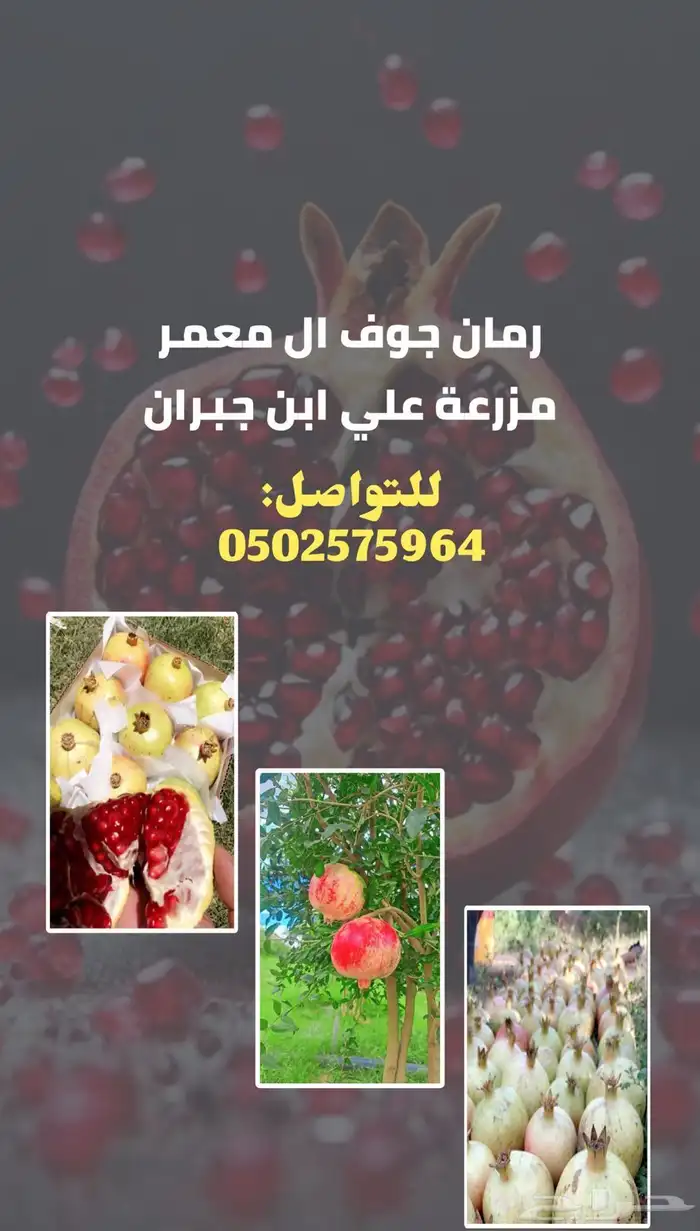 رمان جوف ال معمر. 2