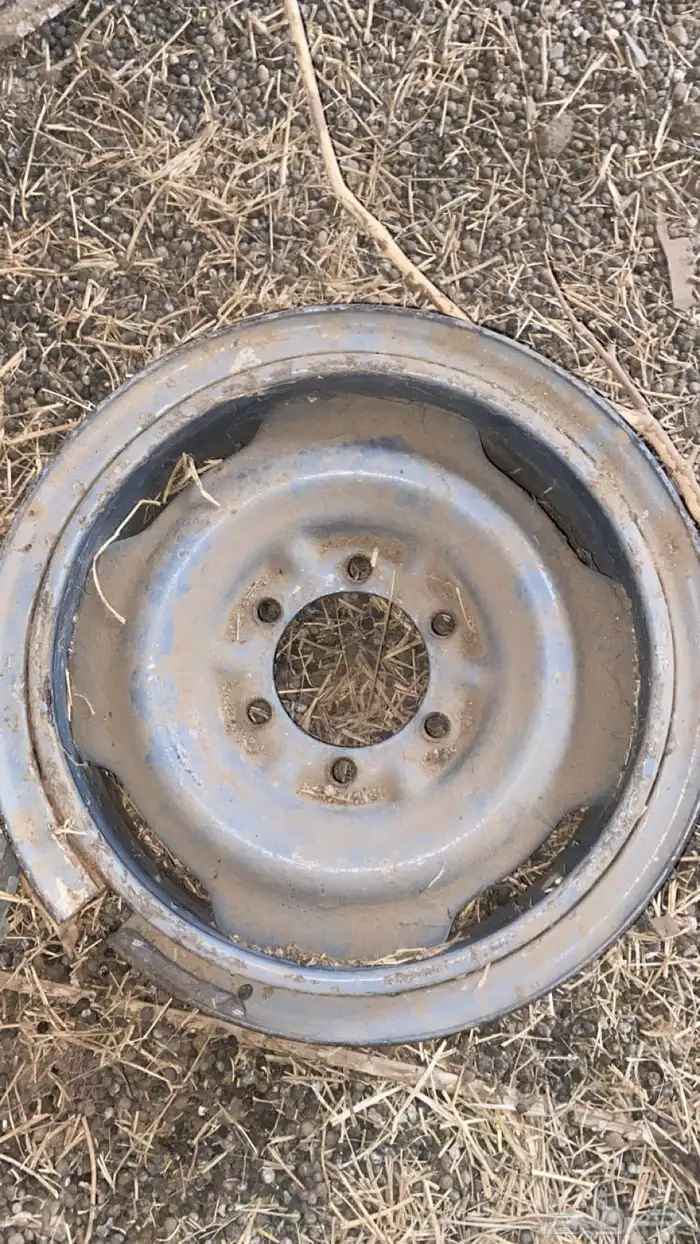 جنوط شنبر 0