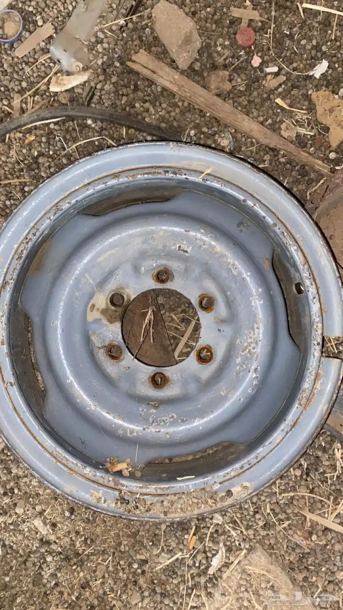 جنوط شنبر 1