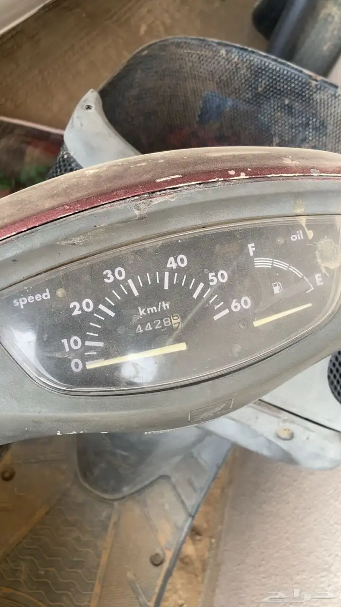 دباب بطه للبيع 1