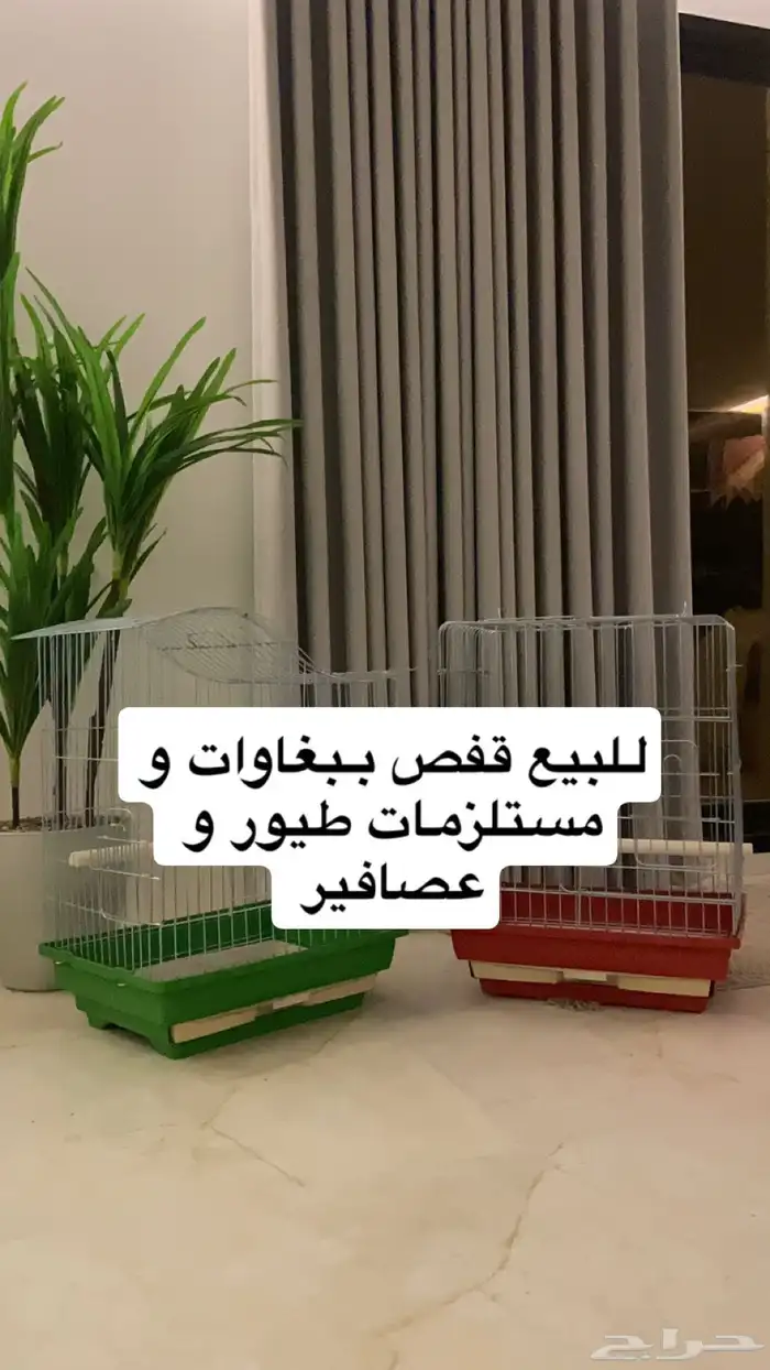 قفص ببغاوات و مستلزمات طيور و عصافير 0
