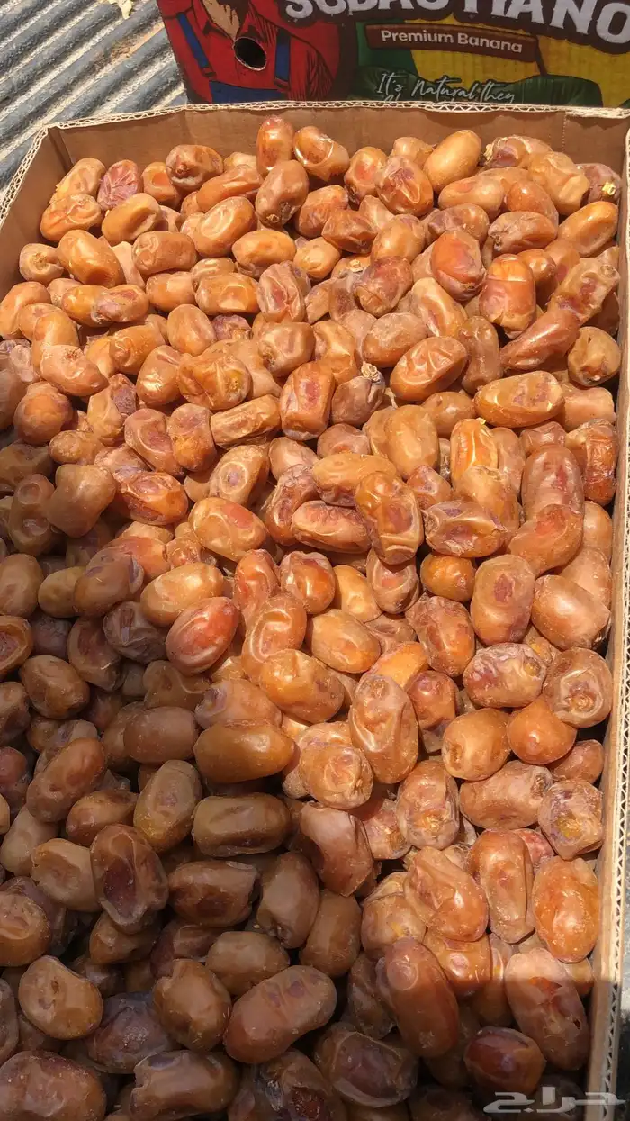 تمر خلاص وادي الدواسر جديد 10
