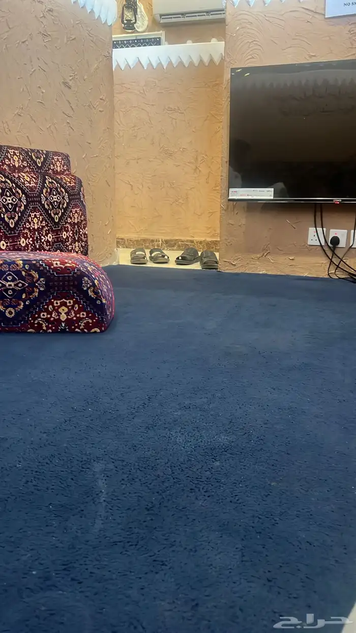 دينا ونش 0