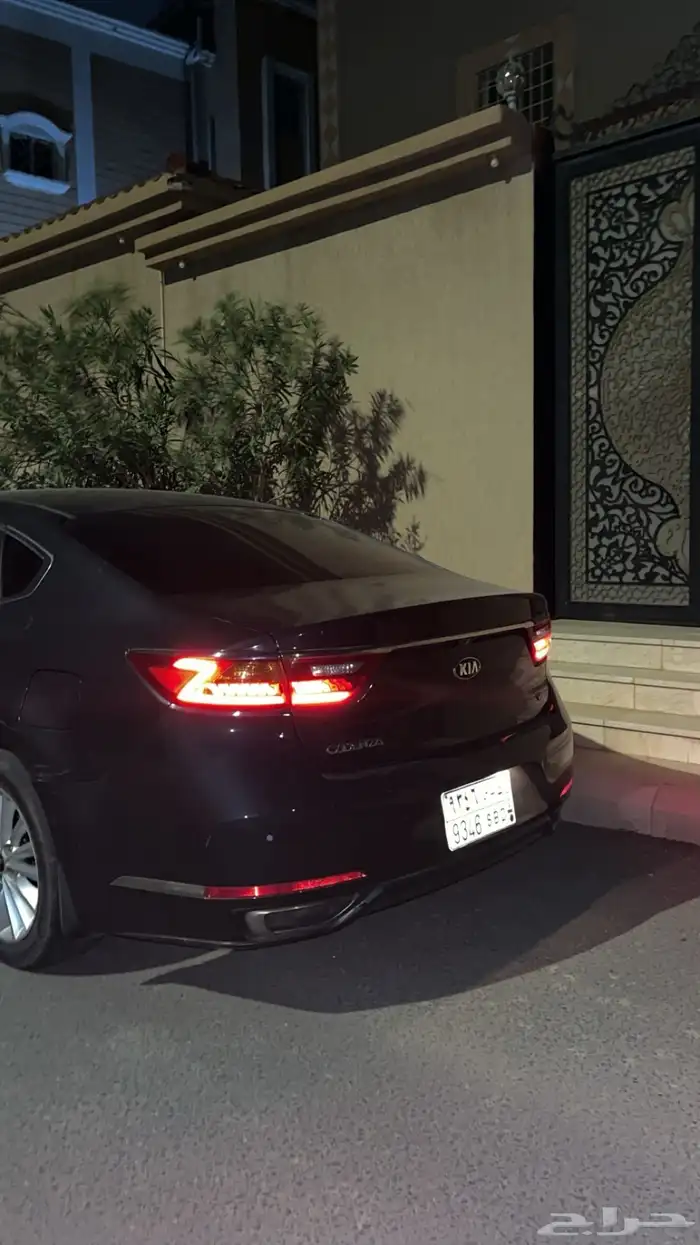 كادينزا رصاصي 3
