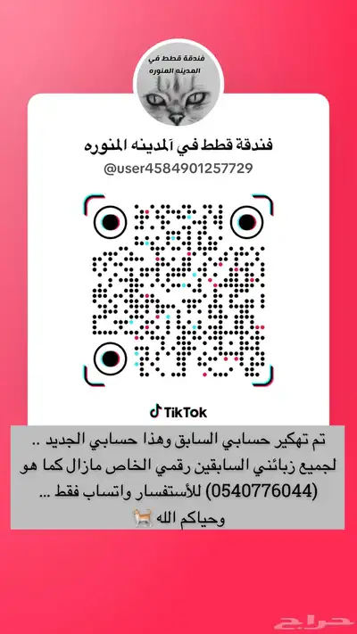 فندقة قطط 0