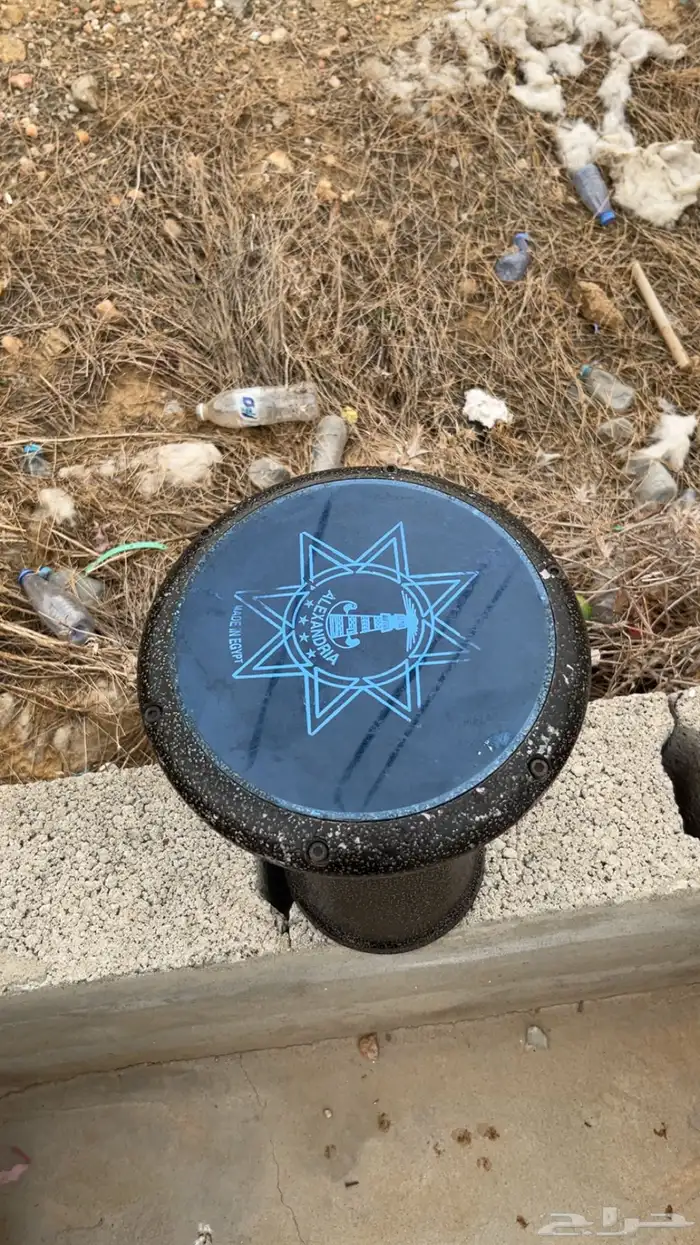 مراوس مصري للبيع 1