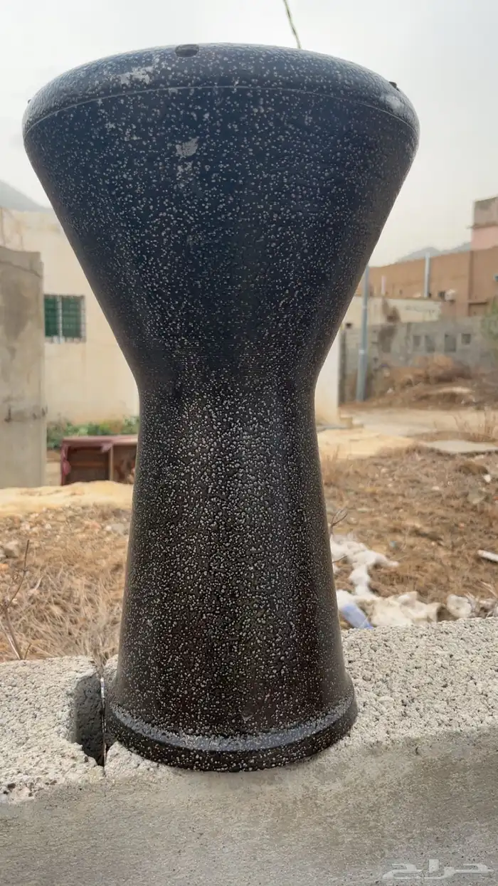 مراوس مصري للبيع 0