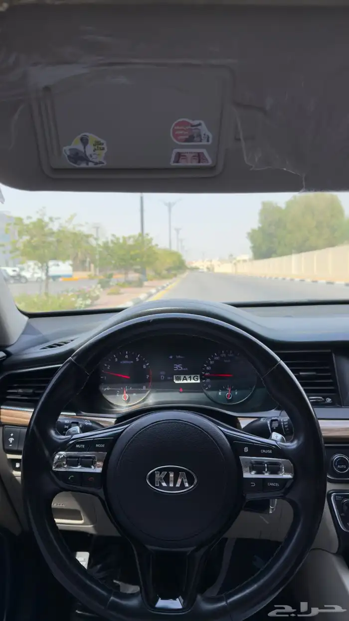 كادينزا 2018 4