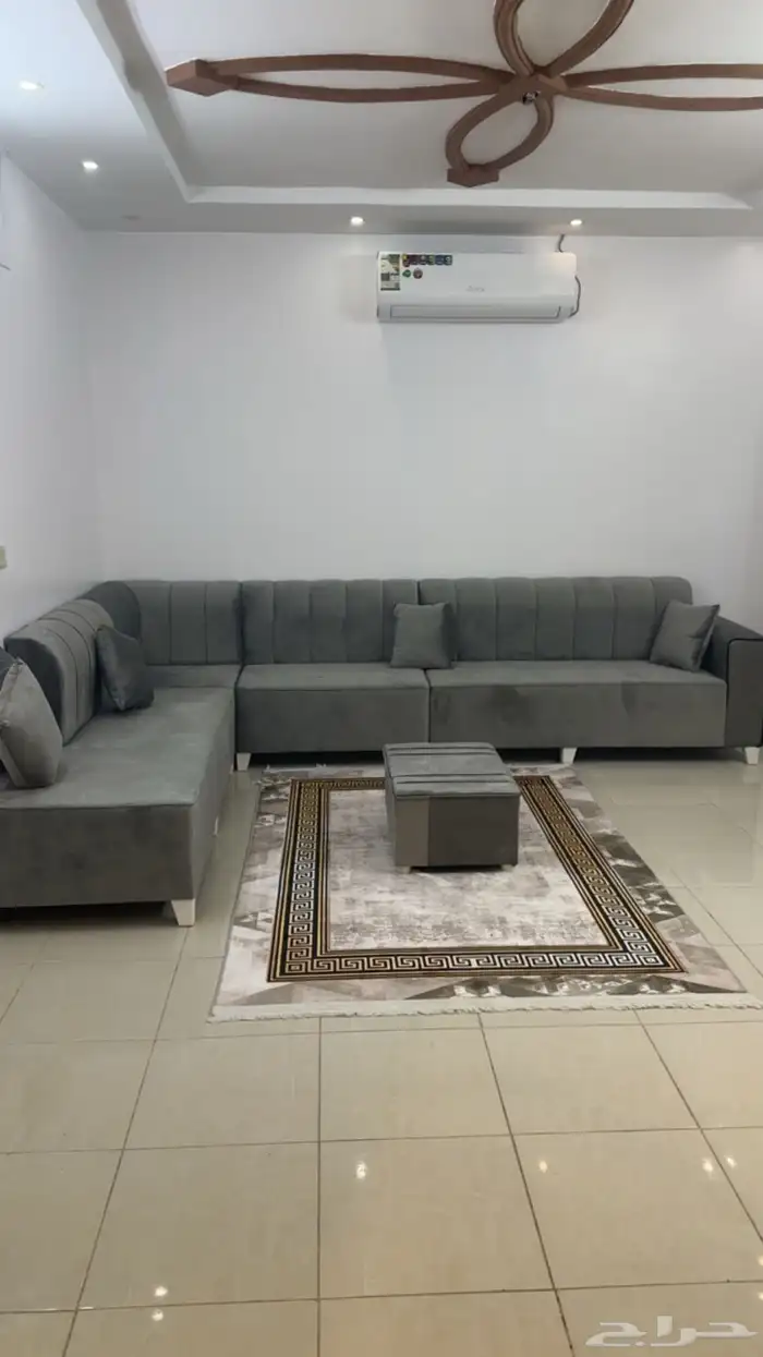 شقه مؤثثه ( صيفي )   دراسي 0