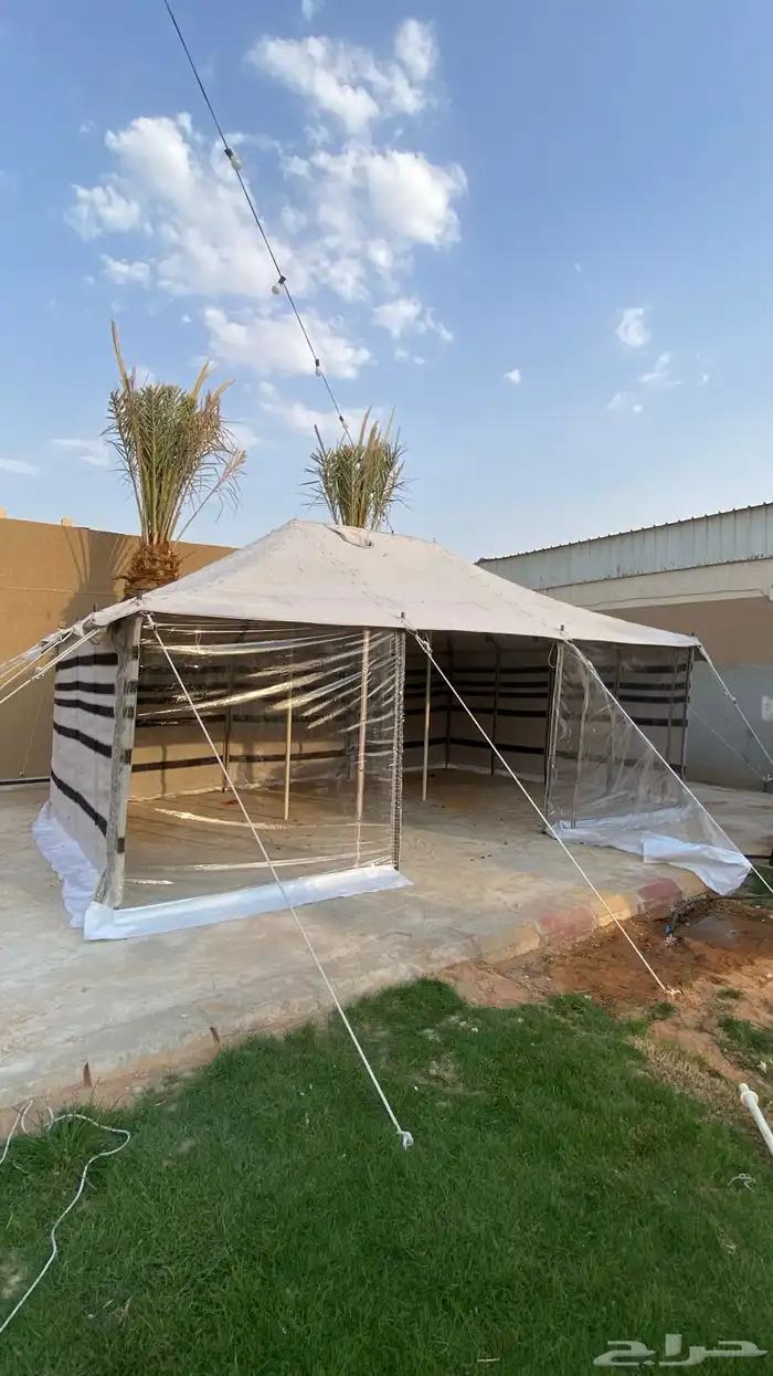 ببوت الشعر الابيض 0