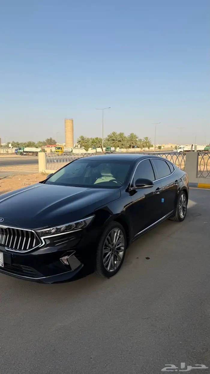 كادينزا 2020 7