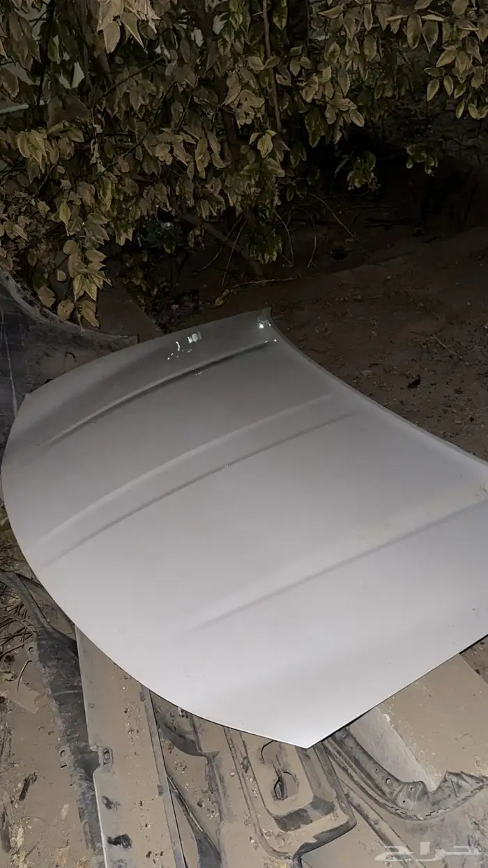كبوت دودج Rt 1