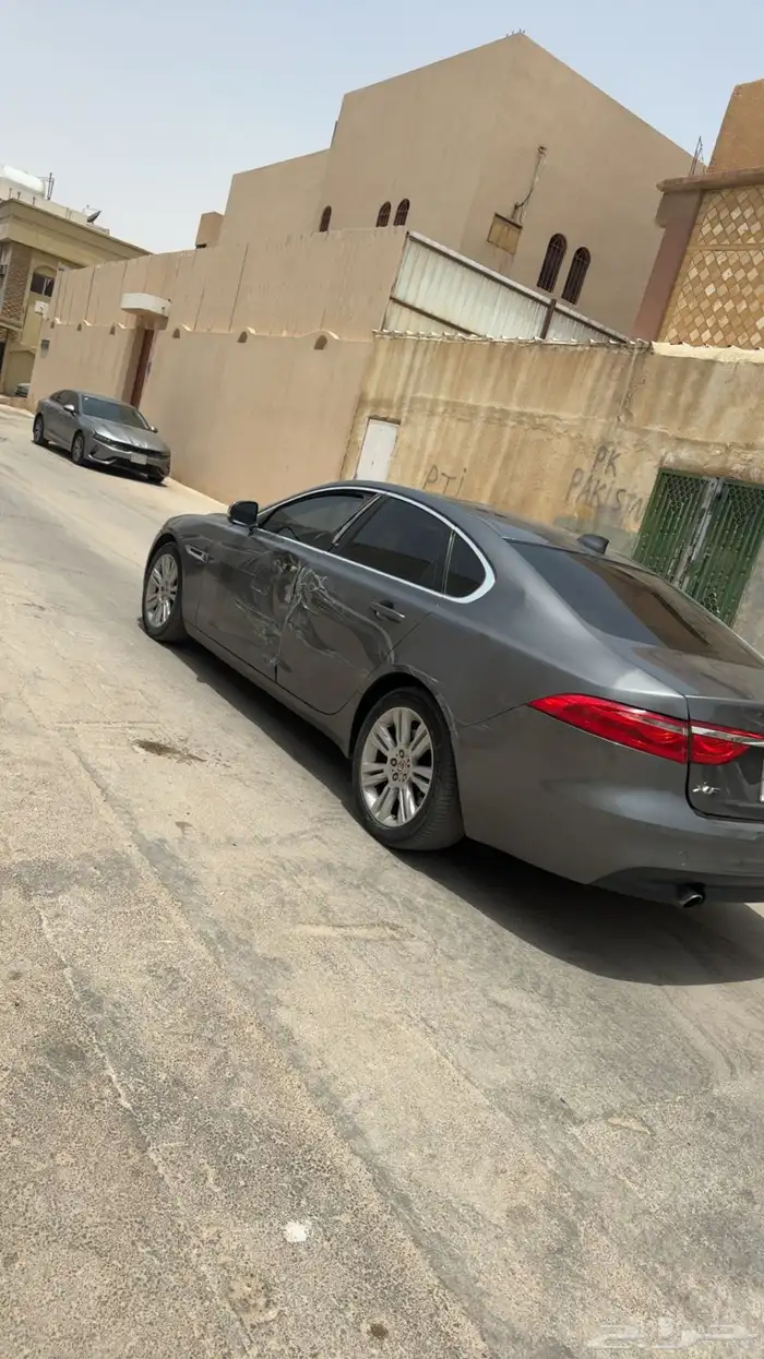 جاكوار مصدوم 2016 6