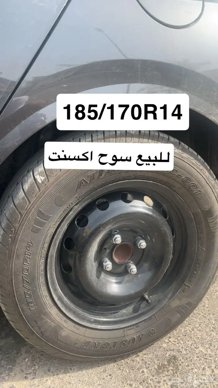 جنوط شوح اكسنت 1