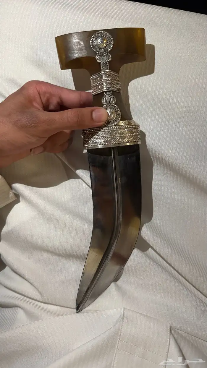 جنبيه حق زراف 1