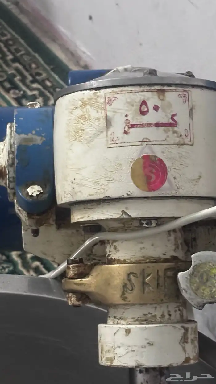 عجانة للبيع 5