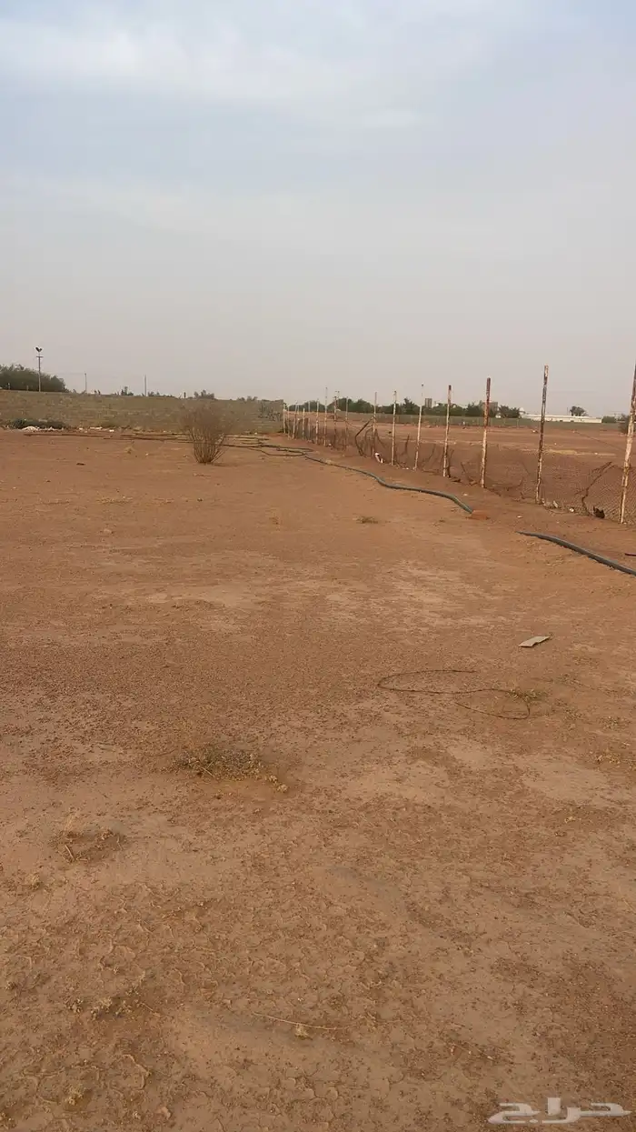 ارض للبيع مساحه 5000 م موقعها تبراك مقابل الشيب 0