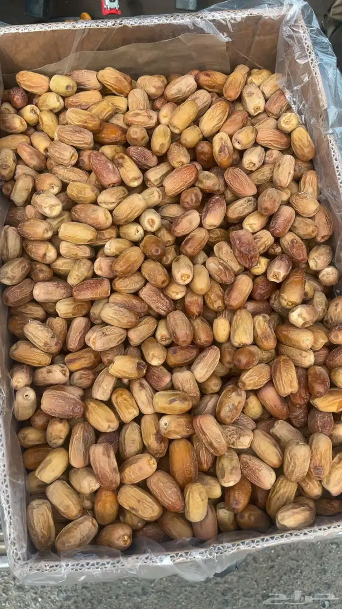 بديره حبه كفو الموقع بيشه 0