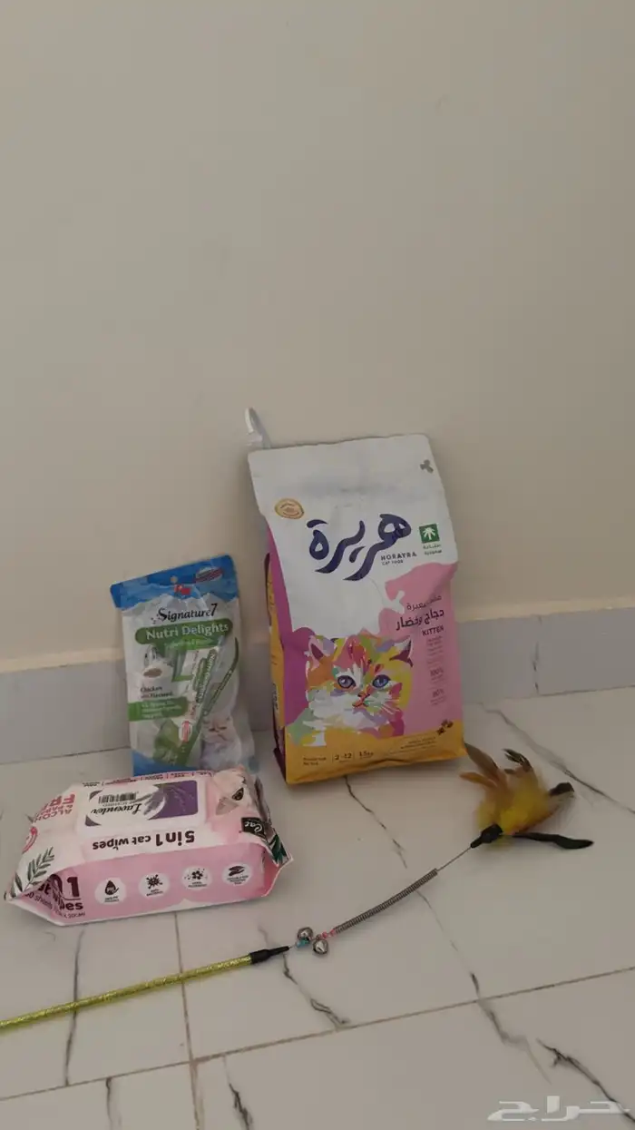 مستلزمات قط مع قط تبني 0