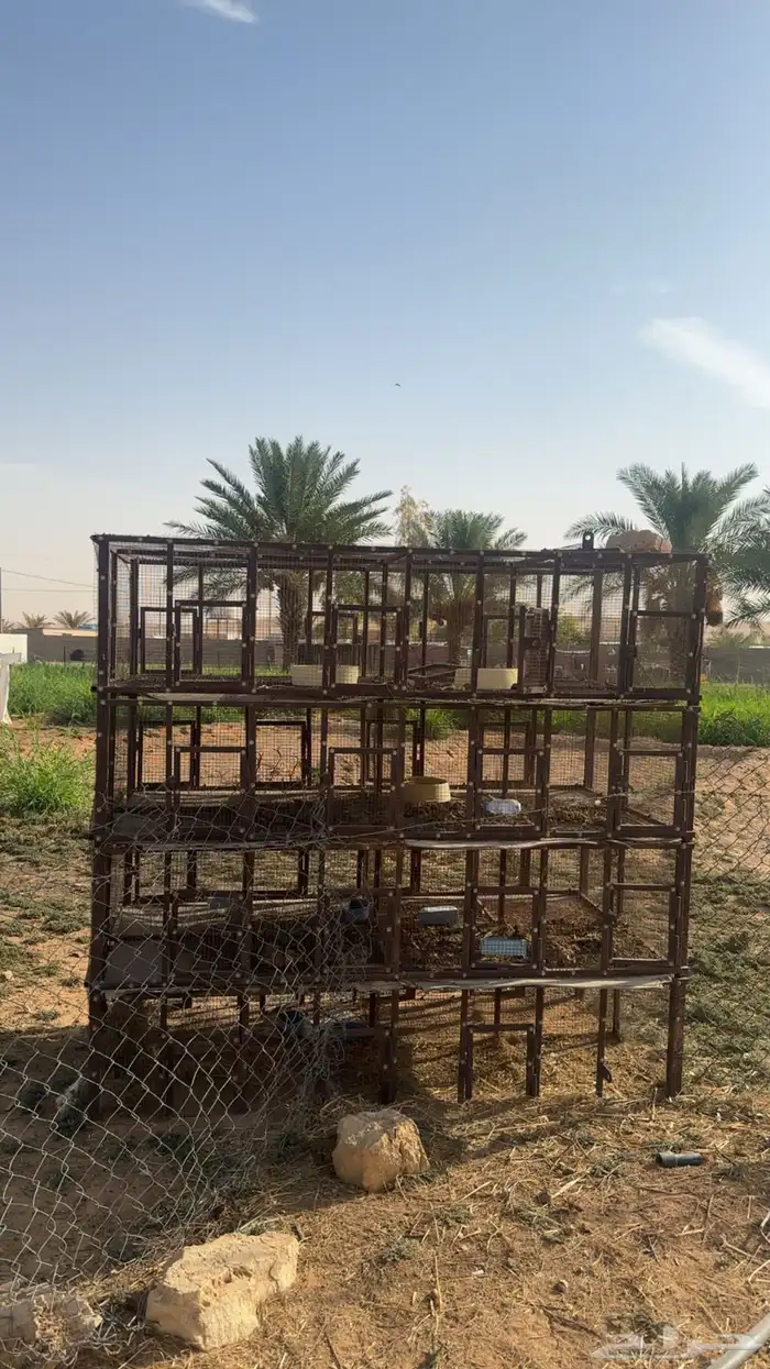 محاكر طيور للبيع 0
