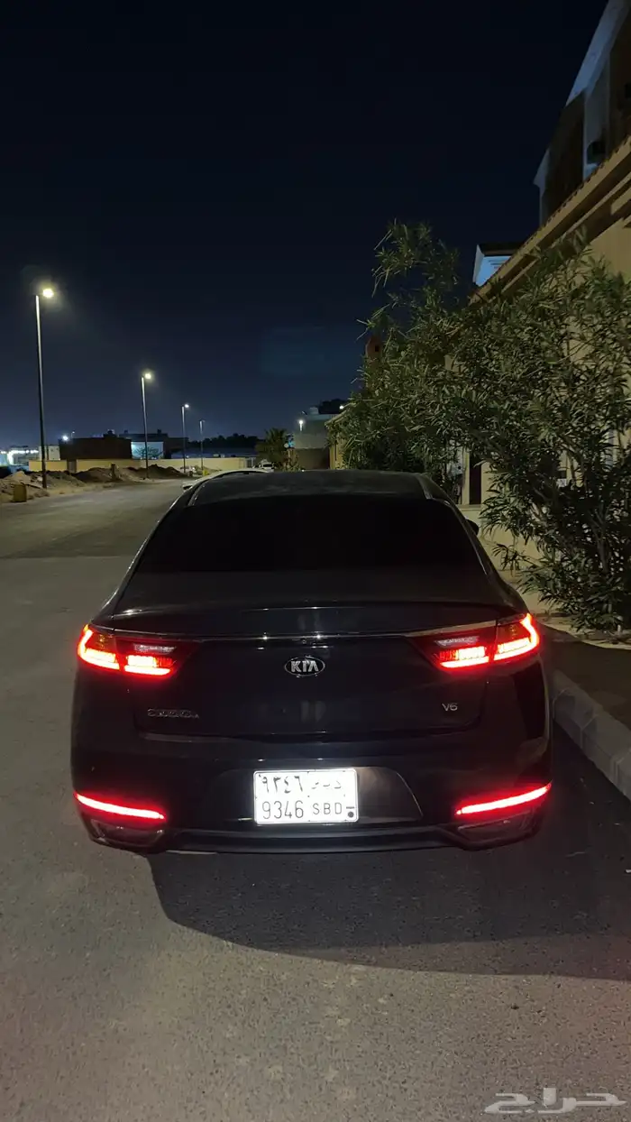 كادينزا رصاصي 1