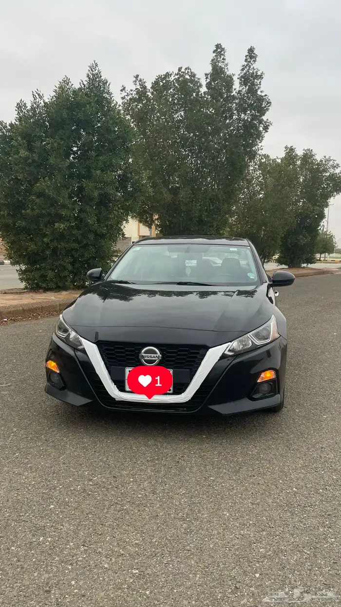 التيما 2019SV 3