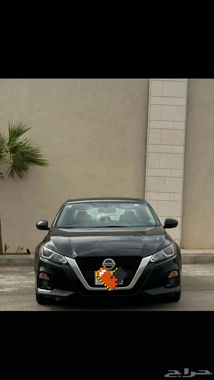 التيما 2019SV 0