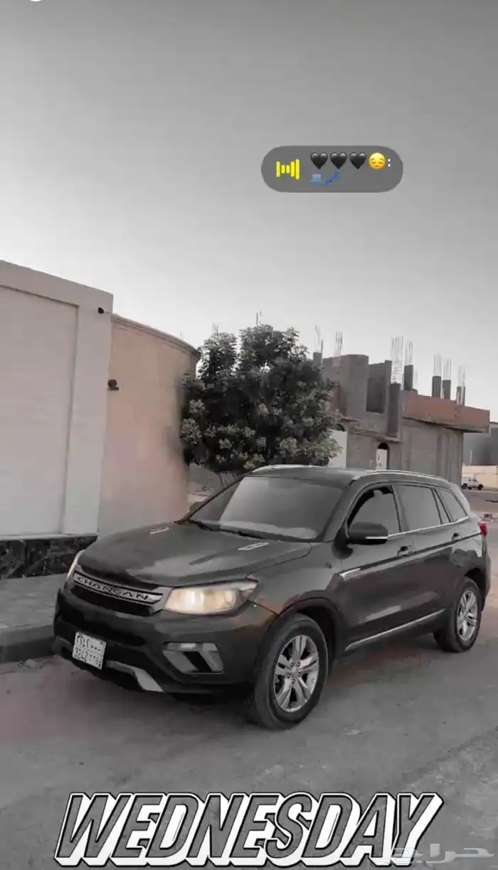 شانجان 2019 6