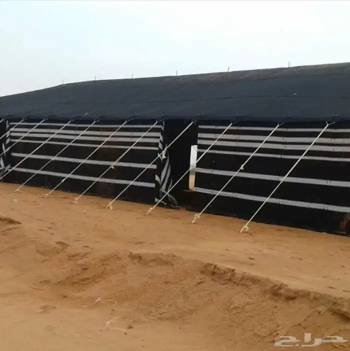 بيت شعر اسود بيت شعر ابيض خيام صيوان ضلال مجلس بيت شعر 1