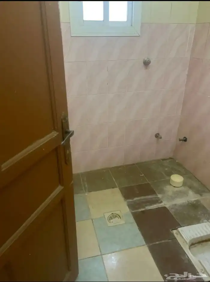شعبي في الجموم 0