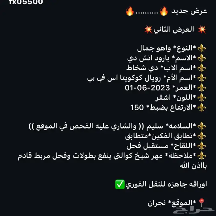 مهر واهو جمال للبيع 6