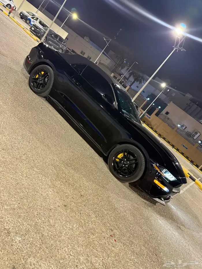 موستنج 2018 16