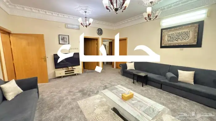 حلباء 7