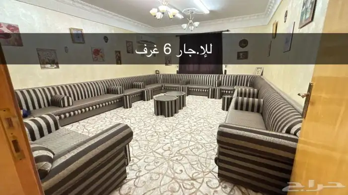 حلباء 5