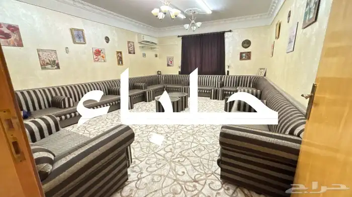 حلباء 6