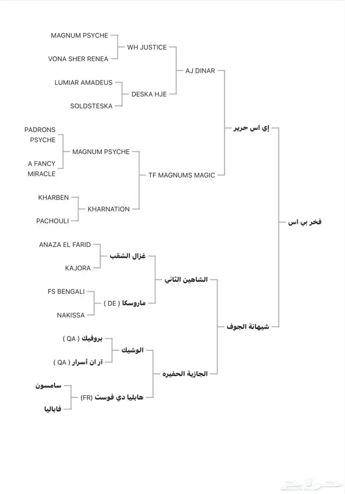 حصان واهو للبيع 4