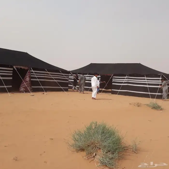 بيت شعر اسود بيت شعر ابيض خيام صيوان ضلال مجلس بيت شعر 6