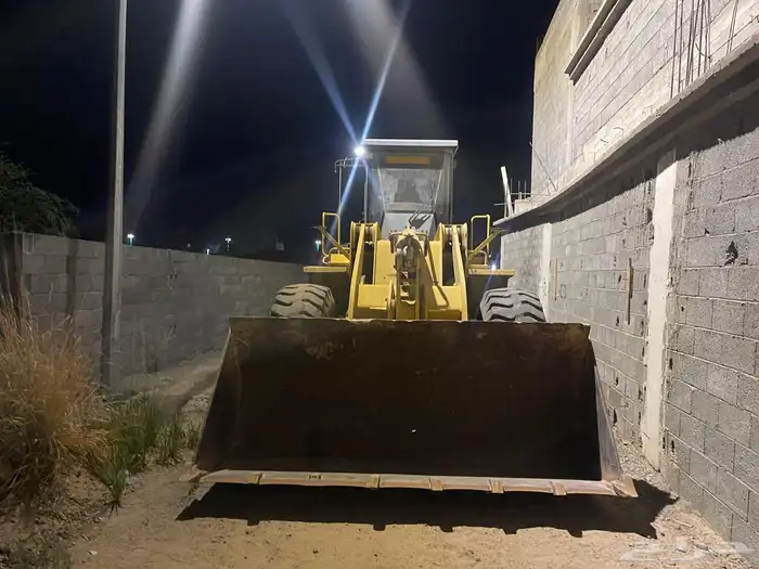 شيول تينان صيني 12