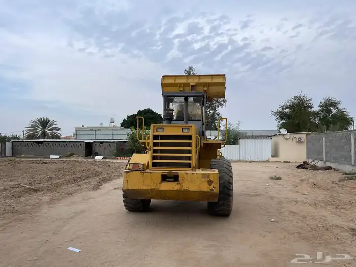 شيول تينان صيني 1