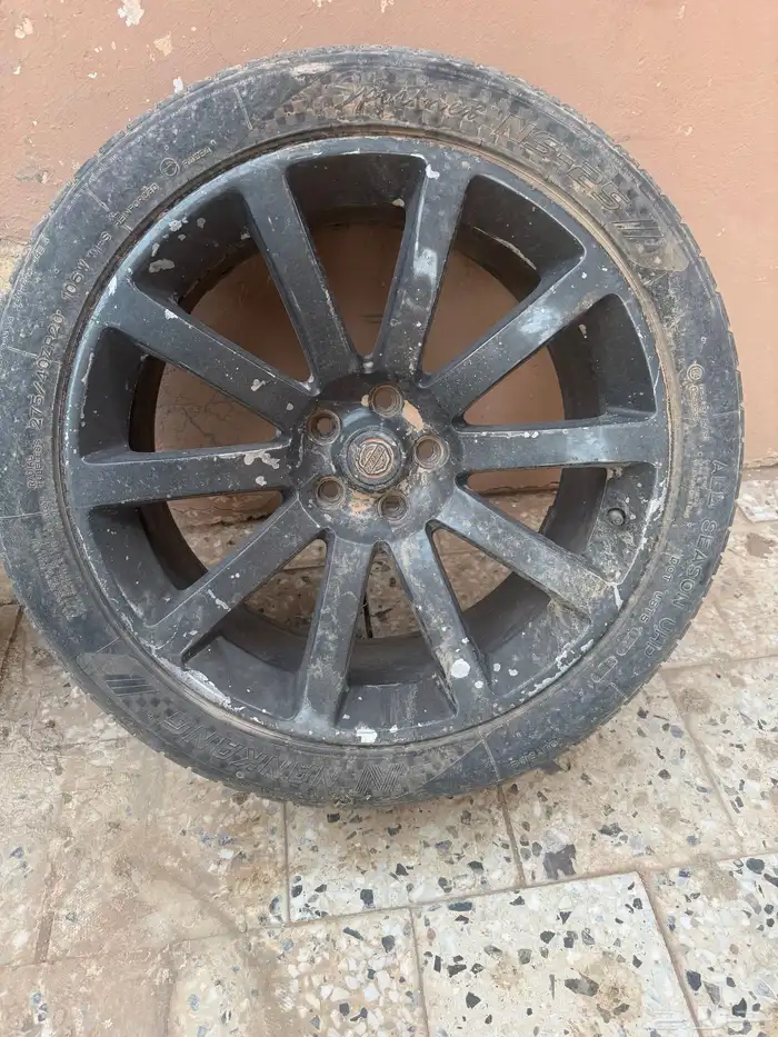للبيع جنوط كلايزلر 0