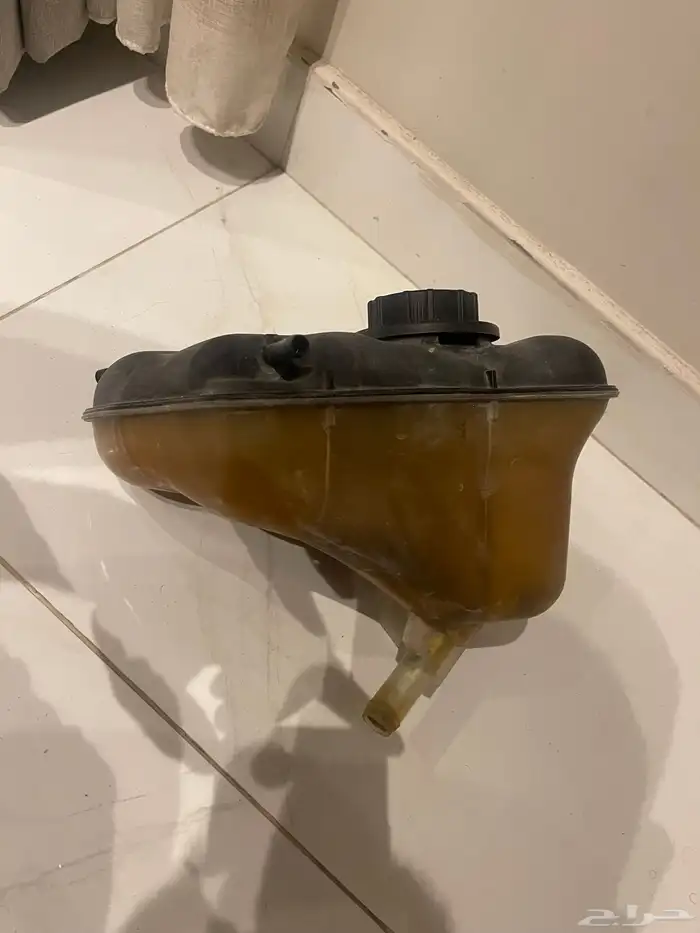 موستنج 1