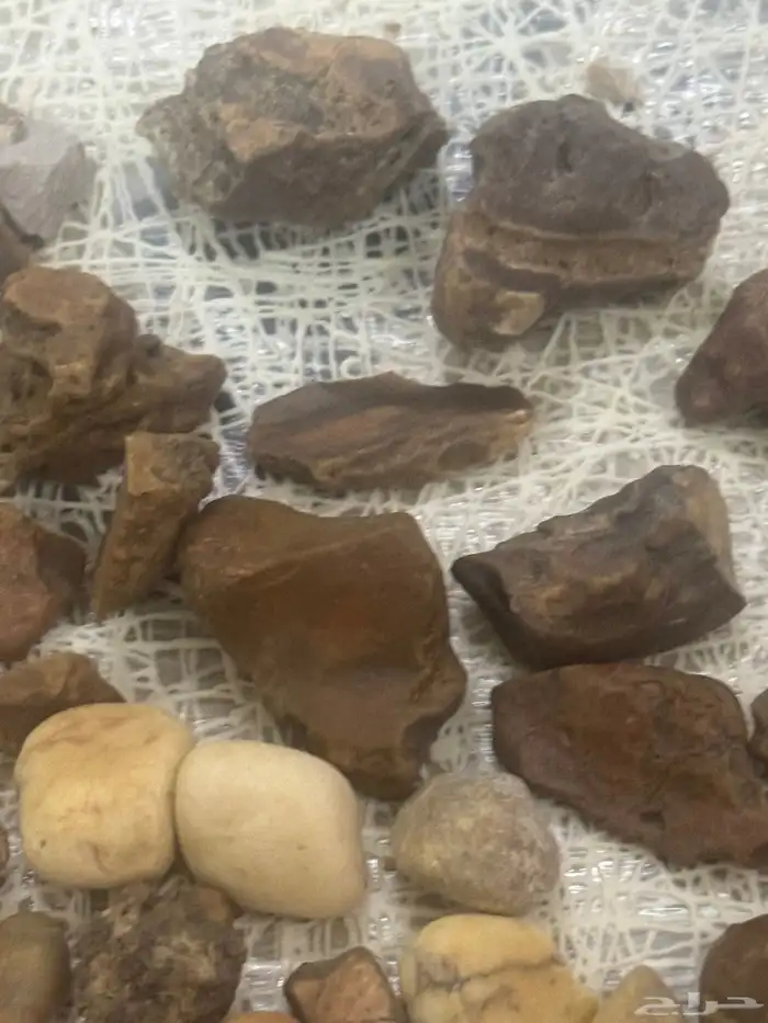 مجموعة احجار كريمه ونيازك وبركاني وكوارتز. وعقيق خام. 10