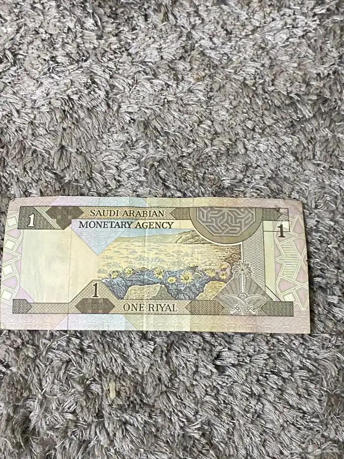 ريال الملك فهد وا ريال الملك عبد الله الي يبيهن يكلمني 3
