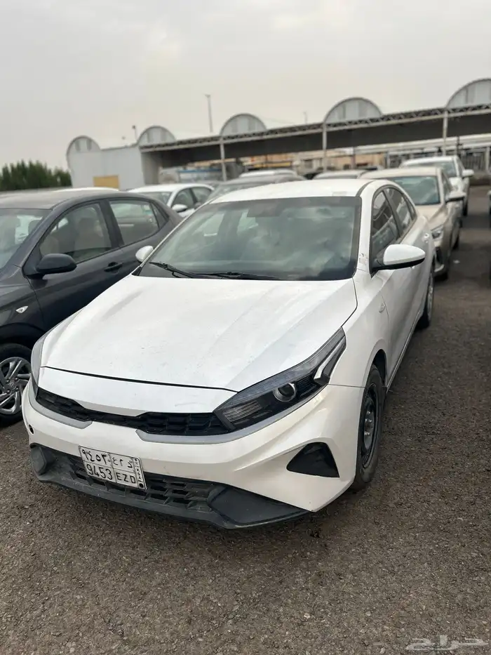 بقياس 2023 31