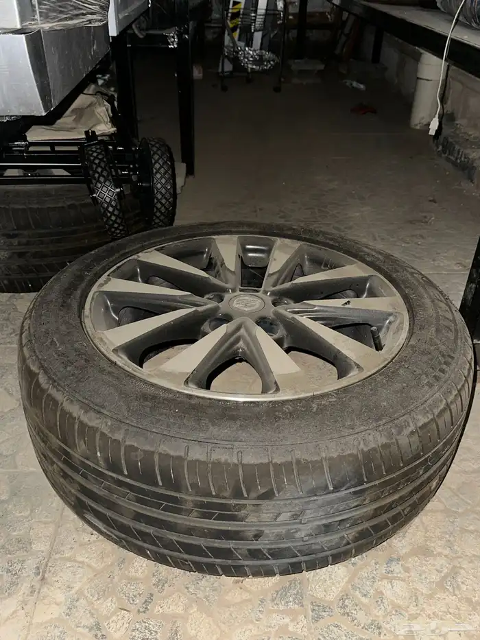 جنوط التيما 2018 1