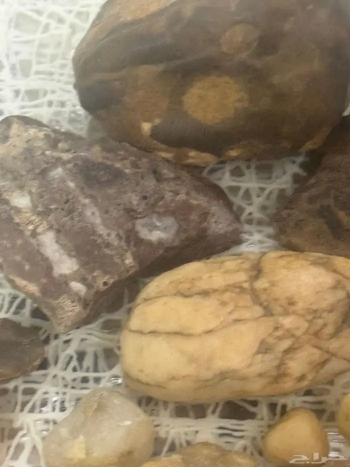 مجموعة احجار كريمه ونيازك وبركاني وكوارتز. وعقيق خام. 9
