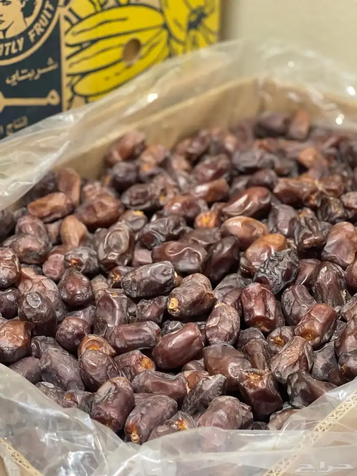 تمر خضري 1